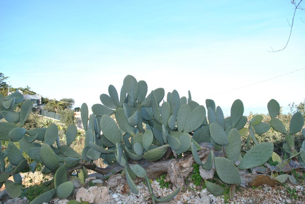 Le Dimore Del Sarto Polignano A Mare Buitenkant foto